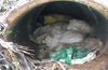 Villagers find explosives hidden in drainage pipe